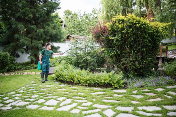 Best Mosquito Control Services  in Haverhill, FL