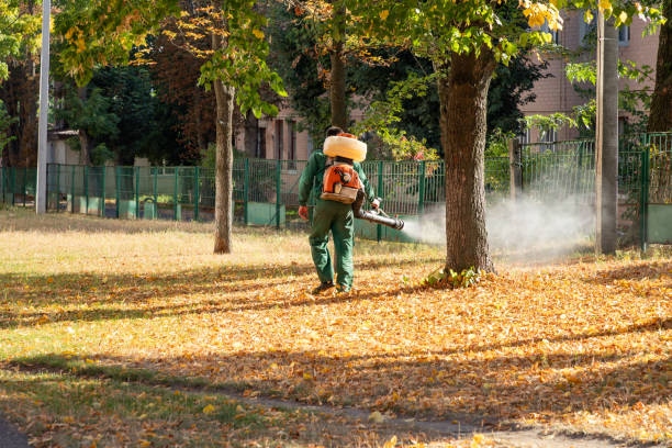 Best Wildlife Control Services  in Haverhill, FL
