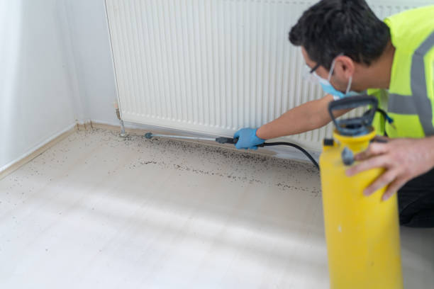 Best Affordable Exterminators  in Haverhill, FL