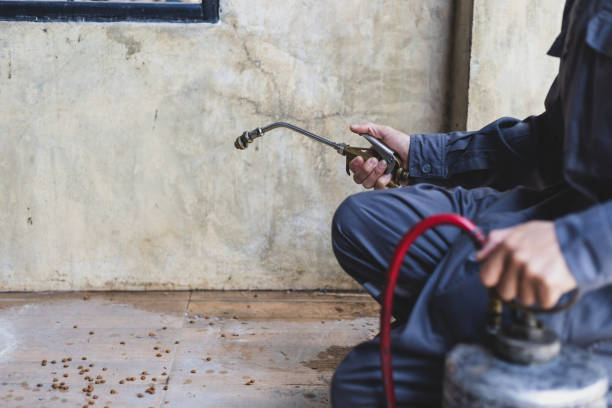 Best Pest Inspection Near Me  in Haverhill, FL